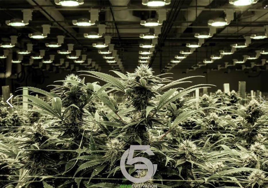 Cultivation Facility